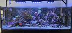 Volledig geautomatiseerd en overcompleet zeewateraquarium, Dieren en Toebehoren, Ophalen, Gebruikt, Gevuld zeewateraquarium