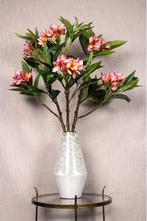 NIEUWE LUXE KUNSTBLOEM Plumeria 110 cm hoge tak – bloem PTMD, Binnen, Pietseweg 13A Oud Gastel, Info@ptmd.nl, Nieuw