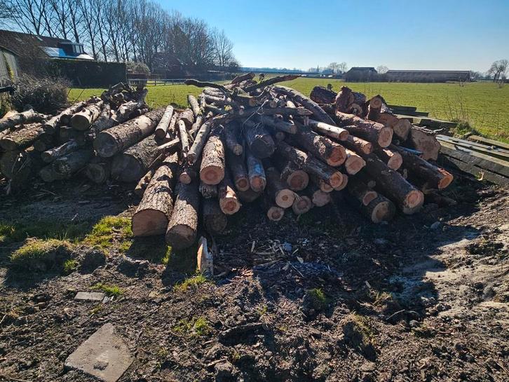 Stammen douglas, lariks, den, spar., Tuin en Terras, Haardhout, Stammen, Overige houtsoorten, Ophalen