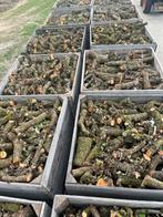 Appel/peer kachelhout o,8 m3 € 80,-, Tuin en Terras, Haardhout, Minder dan 3 m³, Ophalen, Overige houtsoorten, Blokken