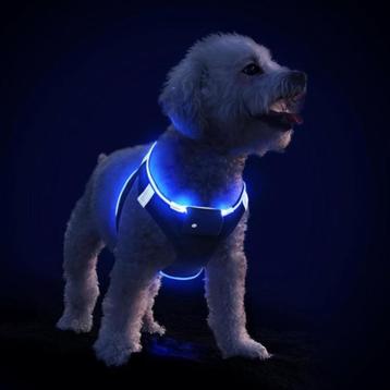 Hondentuigje met LED Verlichting zwart, rood en blauw. beschikbaar voor biedingen