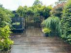 Kleine trampoline - Gratis af te halen!, Tuin en Terras, Planten | Bomen, Bloeit niet, Overige soorten, Minder dan 100 cm, Ophalen