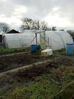 tunnelkassen, Tuin en Terras, Kassen, Gebruikt, Folie, Kweekkas, Ophalen