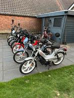 Bied je brommers aan‼️, Fietsen en Brommers, Brommers | Tomos, Overige modellen, Ophalen of Verzenden, Zo goed als nieuw