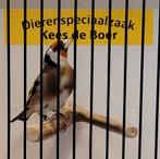 Bloemputter man, Dieren en Toebehoren, Vogels | Overige Vogels, Mannelijk, Geringd