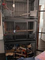Triple flight Strong papagaaienkooi, Ophalen of Verzenden, Zo goed als nieuw, Metaal, Vogelkooi