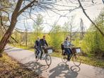 Stijlvolle retrotandems!, Ophalen, Gebruikt, Minder dan 10 versnellingen, Overige merken