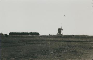 Waarde foto molen ca. 1930 afdruk ca. 1975 beschikbaar voor biedingen
