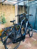 2xPegasus EVO 8F.Bosch Middenmotor Active Line Plus.500Wh, Fietsen en Brommers, Elektrische fietsen, 51 tot 55 cm, Ophalen of Verzenden