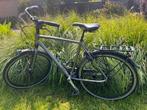 Koga Venya, 57 tot 61 cm, Ophalen, Gebruikt, Overige merken