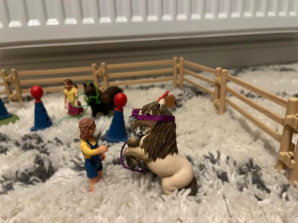 Schleich Schriktraining Set, Ophalen of Verzenden, Zo goed als nieuw, Overige typen
