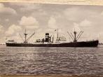 HALCYON LIJN  - STAD MAASSLUIS  1942 Nw Wweg, Verzamelen, Scheepvaart, Ophalen of Verzenden