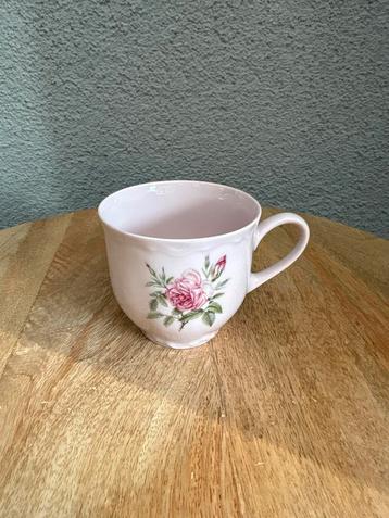 Vintage Rozen Kop en Schotel hutschenreuther beschikbaar voor biedingen