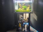 Te koop: Aquarium Superfish Home 65, Ophalen, Gebruikt, Overige typen