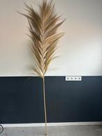 Wavy Palm Leaves - Pampagras Look, Onbekend, Nieuw, Ophalen of Verzenden, Onbekend