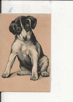 Starende,zittende hond profile 31 jan 1902, Verzenden, Voor 1920, Gelopen, Overige thema's