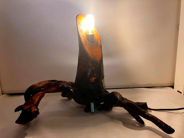 Boomstam Lamp met Wortels - Eyecatcher!, Huis en Inrichting, Lampen | Vloerlampen, Nieuw, Minder dan 100 cm, Hout, Ophalen of Verzenden