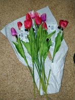Tulpen, Ophalen, Nieuw
