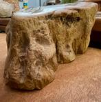 Uniek Indonesisch Fossiel - Decoratief Stuk, Antiek en Kunst, Ophalen