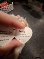 Ty Beanie Boo Percy Uil - Nieuw met kaartje!, Ophalen, Nieuw, Overige typen