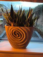 Mooie PTMD plantenpot grijs, Ophalen, Steen, Gebruikt, Overige kleuren