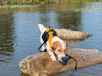 Honden zwemvest ruffwear xxs voor pup of zeer klein hondje beschikbaar voor biedingen