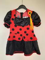 Lieveheersbeestje jurkje maat 116, Ophalen of Verzenden, Zo goed als nieuw, 110 t/m 116, Meisje