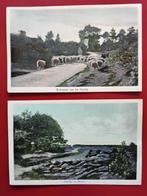 2 oude ansichtkaarten "Heide in bloei"/"Schapen op de heide", Ophalen of Verzenden, Ongelopen