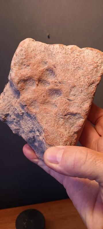 dakpan met Reeën? poot, Romeins, zeldzaam stukje oude collec beschikbaar voor biedingen
