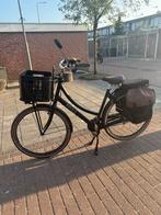Stoere Spirit Cargo+ Transport Fiets ZGAN, Ophalen, Versnellingen, 56 cm of meer, Zo goed als nieuw
