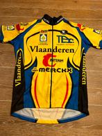 Eddy Merckx fiets kleding origineel maat M, Eddy Merckx, Bovenkleding, Gebruikt, Ophalen of Verzenden