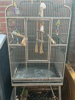 Vogel kooi, Dieren en Toebehoren, Vogels | Hokken en Kooien, Ophalen, Metaal, Vogelkooi