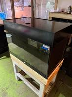 Mooi aquarium 80/50/50 (57inc toprand )met achterwand, Dieren en Toebehoren, Ophalen, Zo goed als nieuw, Leeg aquarium