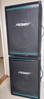 Peavy eurosys 15 speakers, Audio, Tv en Foto, Luidsprekers, Overige typen, Zo goed als nieuw, 120 watt of meer, Ophalen