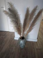 Mooie vaas met pampas pluimen, Ophalen, Zo goed als nieuw