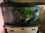 Aquarium (80 x 30 cm.), Dieren en Toebehoren, Ophalen, Gebruikt, Leeg aquarium