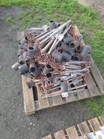 afleidingsmateriaal, Dieren en Toebehoren, Schapen, Geiten en Varkens, Meerdere dieren, Varken, 6 jaar of ouder