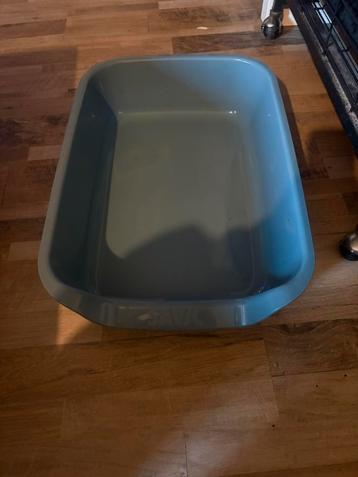 Kitten kattenbak beschikbaar voor biedingen