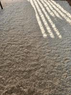 Ikea VOLLERSLEV vloerkleed 200x300, Ophalen, 200 cm of meer, Zo goed als nieuw, 200 cm of meer