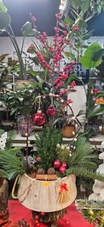 Bloemist gezocht in Delft!, Ophalen of Verzenden