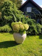 Landelijke vaas , kruik, Kunststof, Overige kleuren, Ophalen of Verzenden, Atw