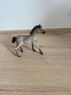 Schleich Criollo Definitivo Veulen | 13949, Ophalen of Verzenden, Zo goed als nieuw