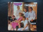 BZN > Twilight / Sally, Ophalen of Verzenden, Gebruikt, Pop