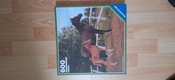 Paarden beschikbaar voor biedingen