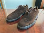 Greve, Oslo suede brogues 44/45 UK91/2J Van Bommel, Kleding | Heren, Verzenden, Zo goed als nieuw, Bruin