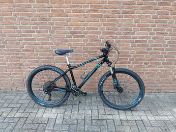 Giant Liv Tempt mountainbike beschikbaar voor biedingen