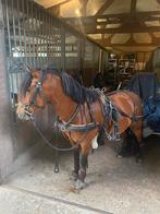 Ideal eurotech tuig pony, Dieren en Toebehoren, Ophalen of Verzenden, Zo goed als nieuw, Overige soorten