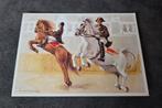 Paarden en ruiters - Ko van den Broecke, Verzamelen, Ansichtkaarten | Themakaarten, Verzenden, Ongelopen