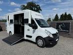 RENAULT MASTER 2.3L | STX | 2016  | HENGST | PAARDENWAGEN