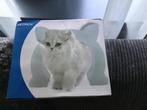 Fancy kattenpoortje, Dieren en Toebehoren, Ophalen of Verzenden, Nieuw